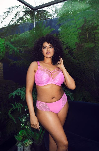 Shop Elomi Brianna Underwire Strappy Plunge Bra In Very Pink