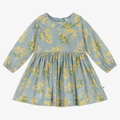 Shop Molo Girls Blue & Yellow Cotton Floral Dress