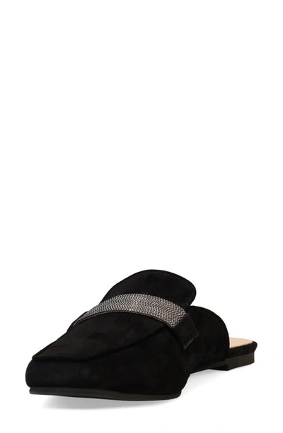 Shop Pelle Moda Herra Mule In Black