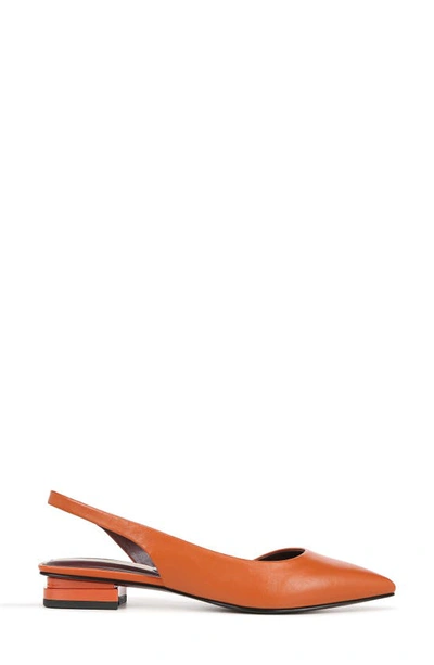 Shop Franco Sarto Tyra Pointed Toe Slingback Flat In Orange