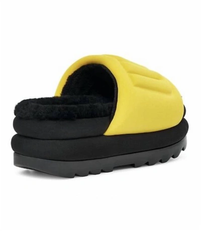 Shop Ugg Maxi Graphic Slide In Canary In Yellow