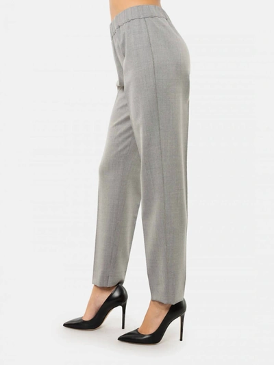 Shop D-exterior Pull-on Lightweight Wool Pant In Grey