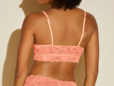 Cosabella Women's Never Say Never Sweetie Bra In Coral Breeze In Multi