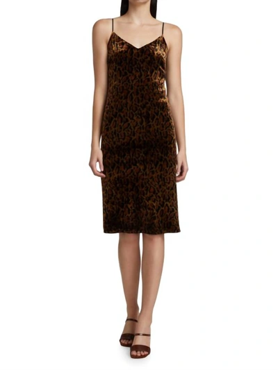 L Agence Indie Velvet Cheetah-print Slip Dress In Tan/black In Multi
