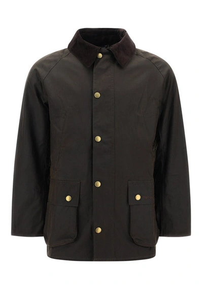 Shop Barbour Ashby Jacket