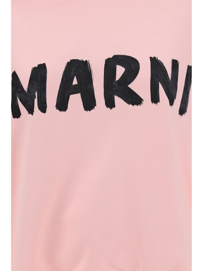 Shop Marni Sweatshirt