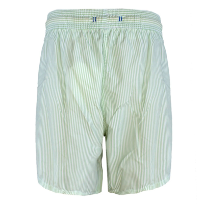 Solid & Striped Men The Classic Drawstrings Swim Short Trunks In Aquamarine & White In Multi