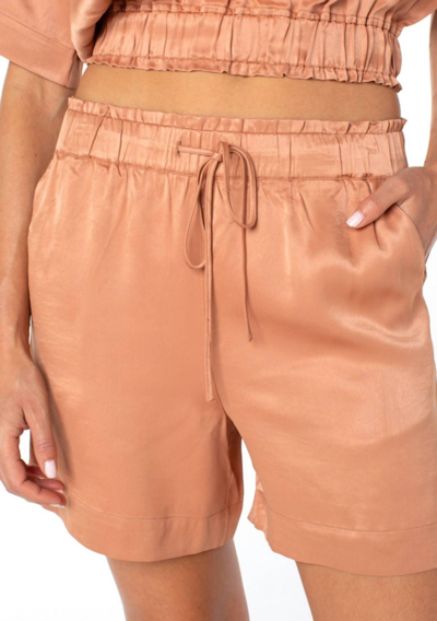 Shop Serra Laila Shorts In Pink Sand