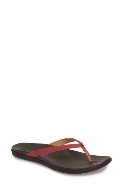 Shop Olukai Ho Opio Leather Flip Flop In Deep Red/ Dark Java Leather