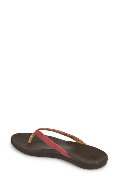 Olukai Ho Opio Leather Flip Flop In Deep Red/ Dark Java Leather