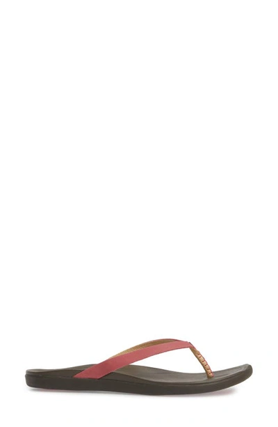 Olukai Ho Opio Leather Flip Flop In Deep Red/ Dark Java Leather