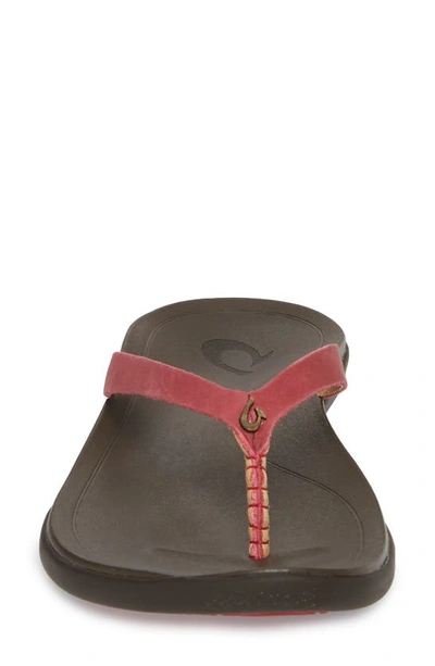 Olukai Ho Opio Leather Flip Flop In Deep Red/ Dark Java Leather