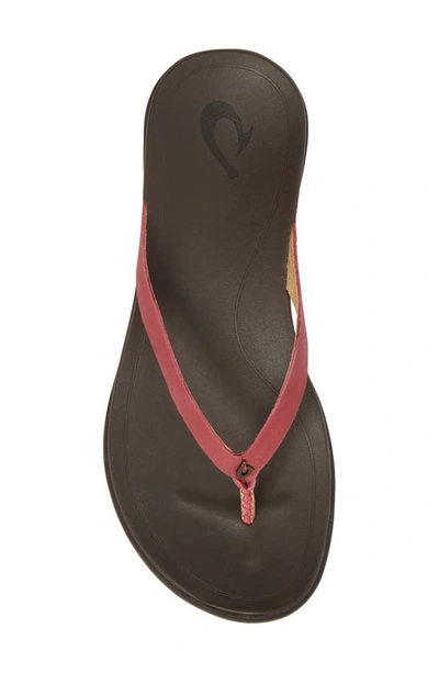 Olukai Ho Opio Leather Flip Flop In Deep Red/ Dark Java Leather