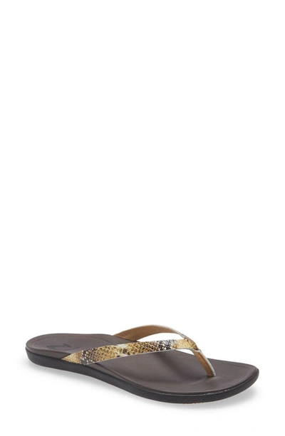 Shop Olukai Ho Opio Leather Flip Flop In Tan/ Mo O