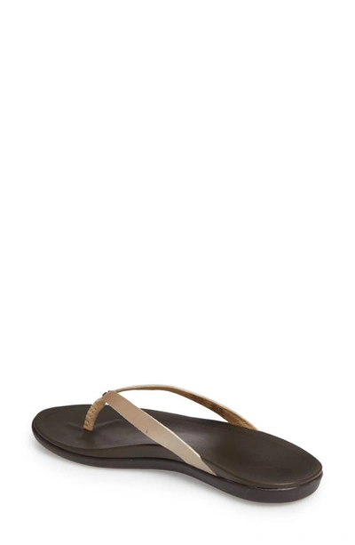 Olukai Ho Opio Leather Flip Flop In Bubbly/ Dark Java Leather