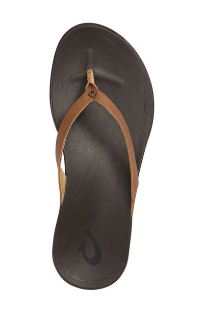 Shop Olukai Ho Opio Leather Flip Flop In Sahara/ Dark Java Leather