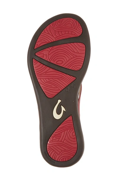 Olukai Ho Opio Leather Flip Flop In Deep Red/ Dark Java Leather