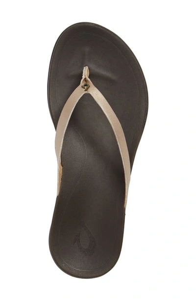 Shop Olukai Ho Opio Leather Flip Flop In Bubbly/ Dark Java Leather