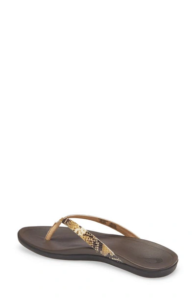 Olukai Ho Opio Leather Flip Flop In Tan/ Mo O