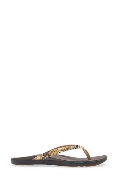 Olukai Ho Opio Leather Flip Flop In Tan/ Mo O