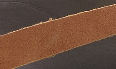 Shop Olukai Ho Opio Leather Flip Flop In Sahara/ Dark Java Leather