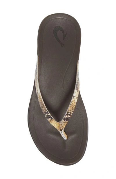 Olukai Ho Opio Leather Flip Flop In Tan/ Mo O