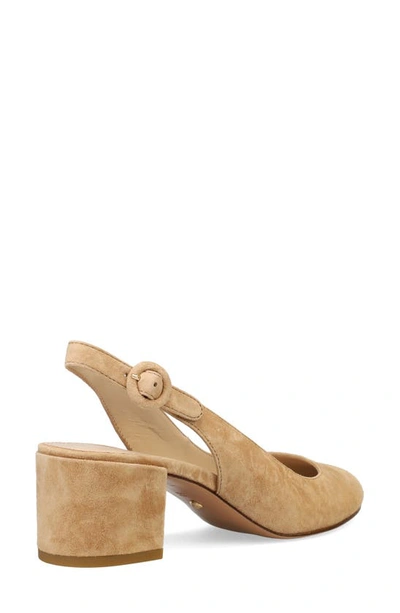 Shop Pelle Moda Ulla Slingback Pump In Latte