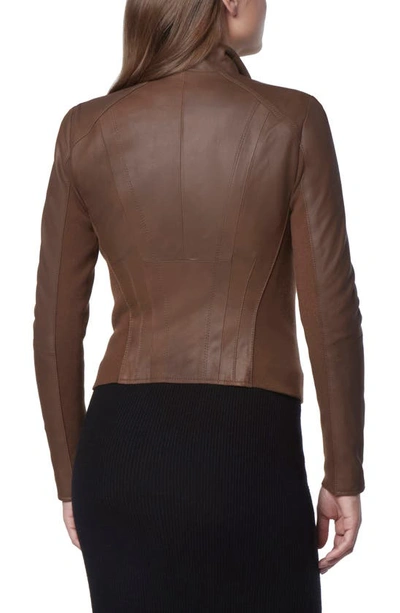Shop Andrew Marc Felix Leather Moto Jacket With Knit Panels In Sepia
