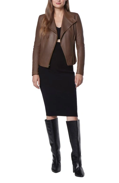 Shop Andrew Marc Felix Leather Moto Jacket With Knit Panels In Sepia