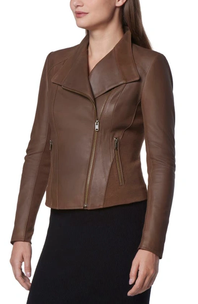 Shop Andrew Marc Felix Leather Moto Jacket With Knit Panels In Sepia