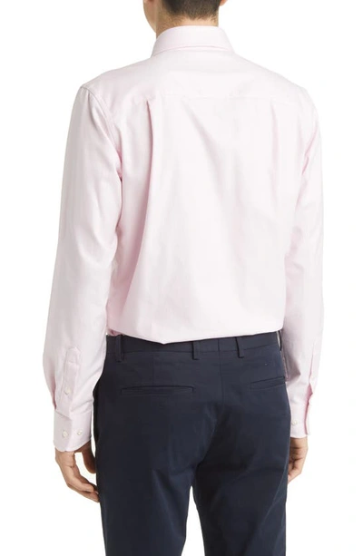 David Donahue Trim Fit Royal Oxford Dress Shirt In Pink