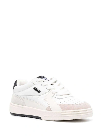 Shop Palm Angels Palm University Low Top Sneakers In White And Black Sneakers Woman