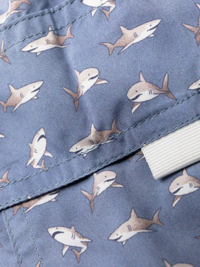 Shop Canali Shark-print Drawstring Swim Shorts In Blue