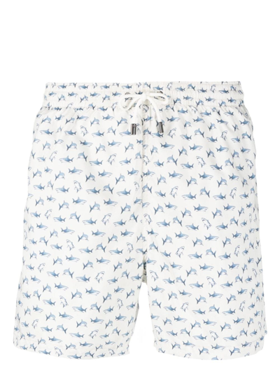 Shop Canali Shark-print Swim Shorts In Neutrals