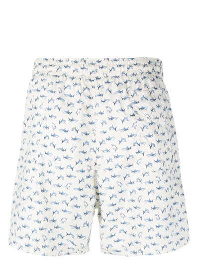 Shop Canali Shark-print Swim Shorts In Neutrals