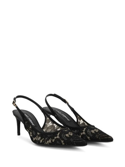 Shop Dolce & Gabbana Pointed-toe Lace-panelled Pumps In Black