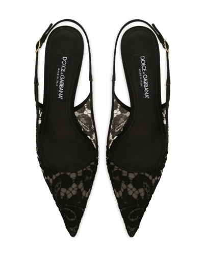 Shop Dolce & Gabbana Pointed-toe Lace-panelled Pumps In Black