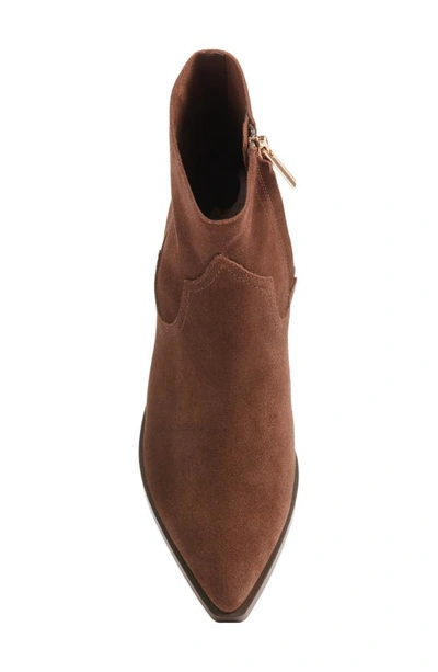 Shop Steve Madden Braylen Pointed Toe Bootie In Brown Sued