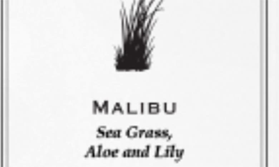 Shop Archipelago Botanicals Luxe Reed Diffuser In Malibu