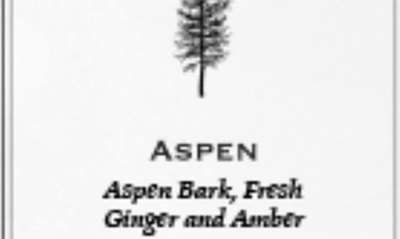 Shop Archipelago Botanicals Luxe Reed Diffuser In Aspen