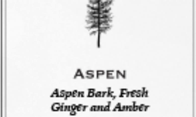 Archipelago Botanicals Luxe Reed Diffuser In Aspen