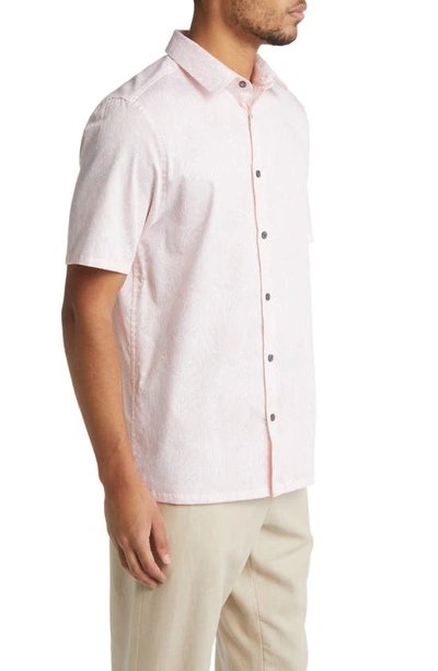 Shop Ted Baker Apsley Linear Leaf Short Sleeve Button-up Shirt In Peachy