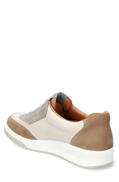 Mephisto Match Walking Shoe In Taupe