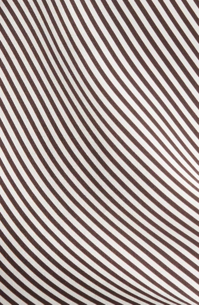 Frame Stripe V-neck Silk Camisole In Espresso Multi