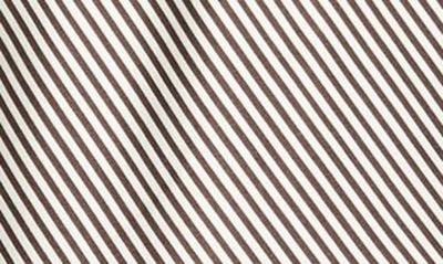 Shop Frame Stripe V-neck Silk Camisole In Espresso Multi