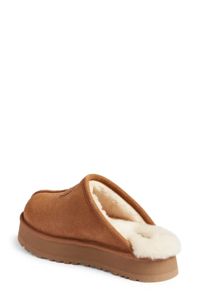 Shop Ugg Discoquette Genuine Shearling Slide Slipper In Chestnut