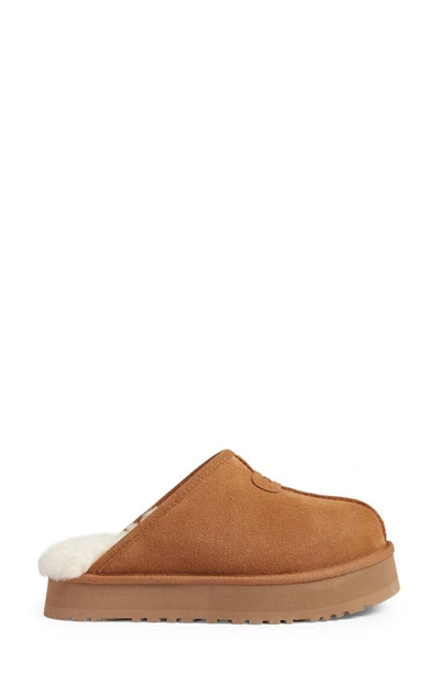 Shop Ugg Discoquette Genuine Shearling Slide Slipper In Chestnut