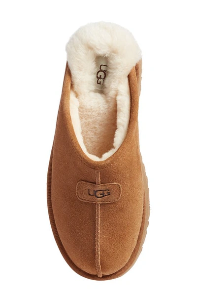 Shop Ugg Discoquette Genuine Shearling Slide Slipper In Chestnut
