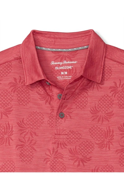 Shop Tommy Bahama Pineapple Palm Coast Short Sleeve Polo In New Red Sail