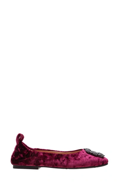 Shop Linea Paolo Minax Embellished Ballet Flat In Burgundy